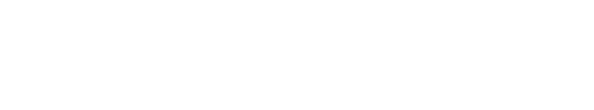 NiteRaiders